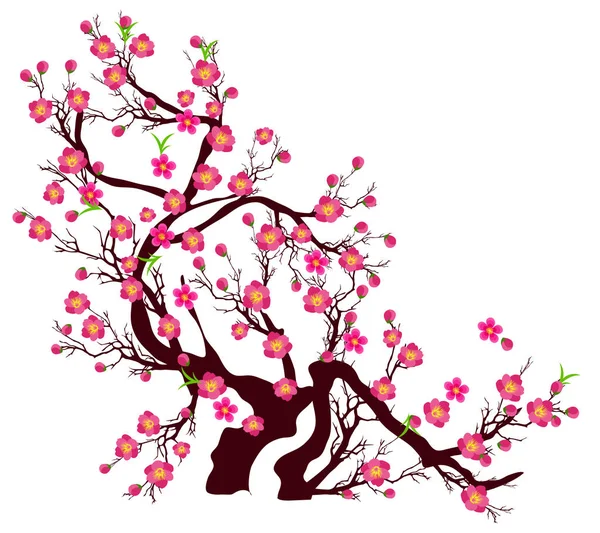 Kiraz çiçeği vektör Çin yeni yıl ve ay yeni yıl için — Stok Vektör