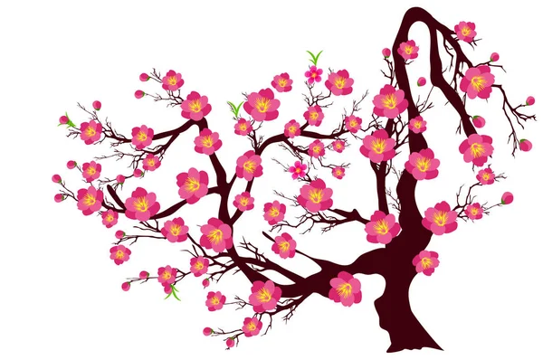 Kiraz çiçeği vektör Çin yeni yıl ve ay yeni yıl için 