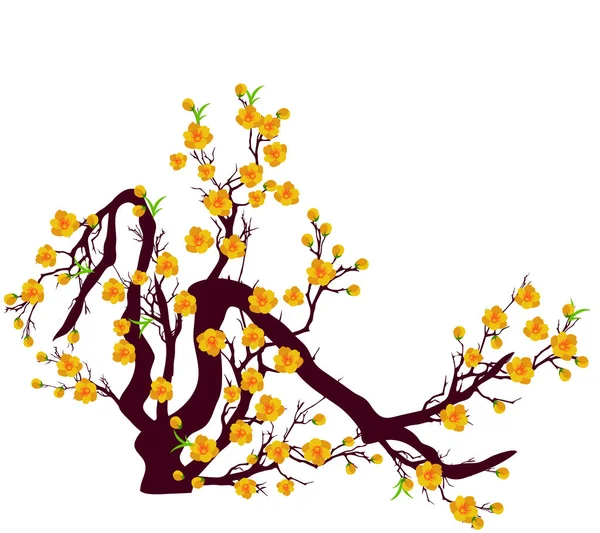 Vector Fleur de cerisier pour le Nouvel An chinois et le Nouvel An lunaire — Image vectorielle