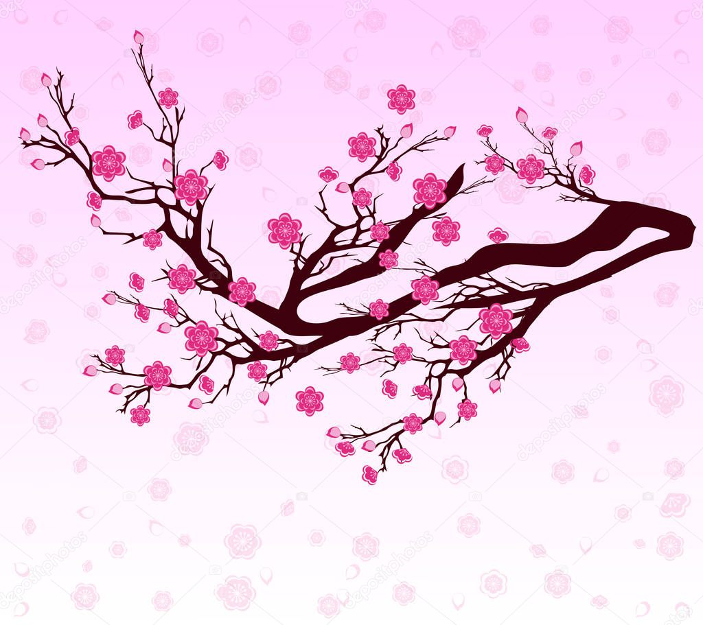 Vector Cherry blossom for Chinese New Year and lunar new year 