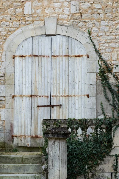 Vieille porte et vignes poussant sur le mur — Photo