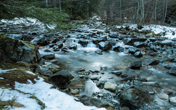 Fransa 'da Pireneler' de kış nehri kıyıları