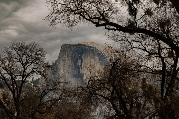 Yosemite 'deki ünlü yarım kubbe. Çerçevelemek için ağaçları kullanıyor..
