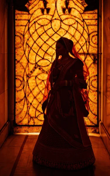 Silhouette of a woman in front of a decorated window in india — Stock Photo, Image
