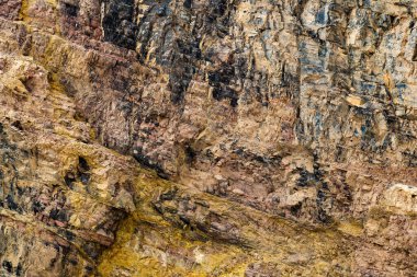 Avustralya sahillerinde taş dokusu yakalandı.