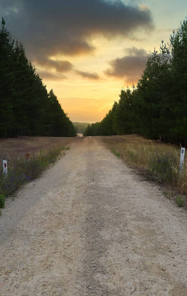 Country Road em South Australia filmado ao pôr do sol — Fotografia de Stock