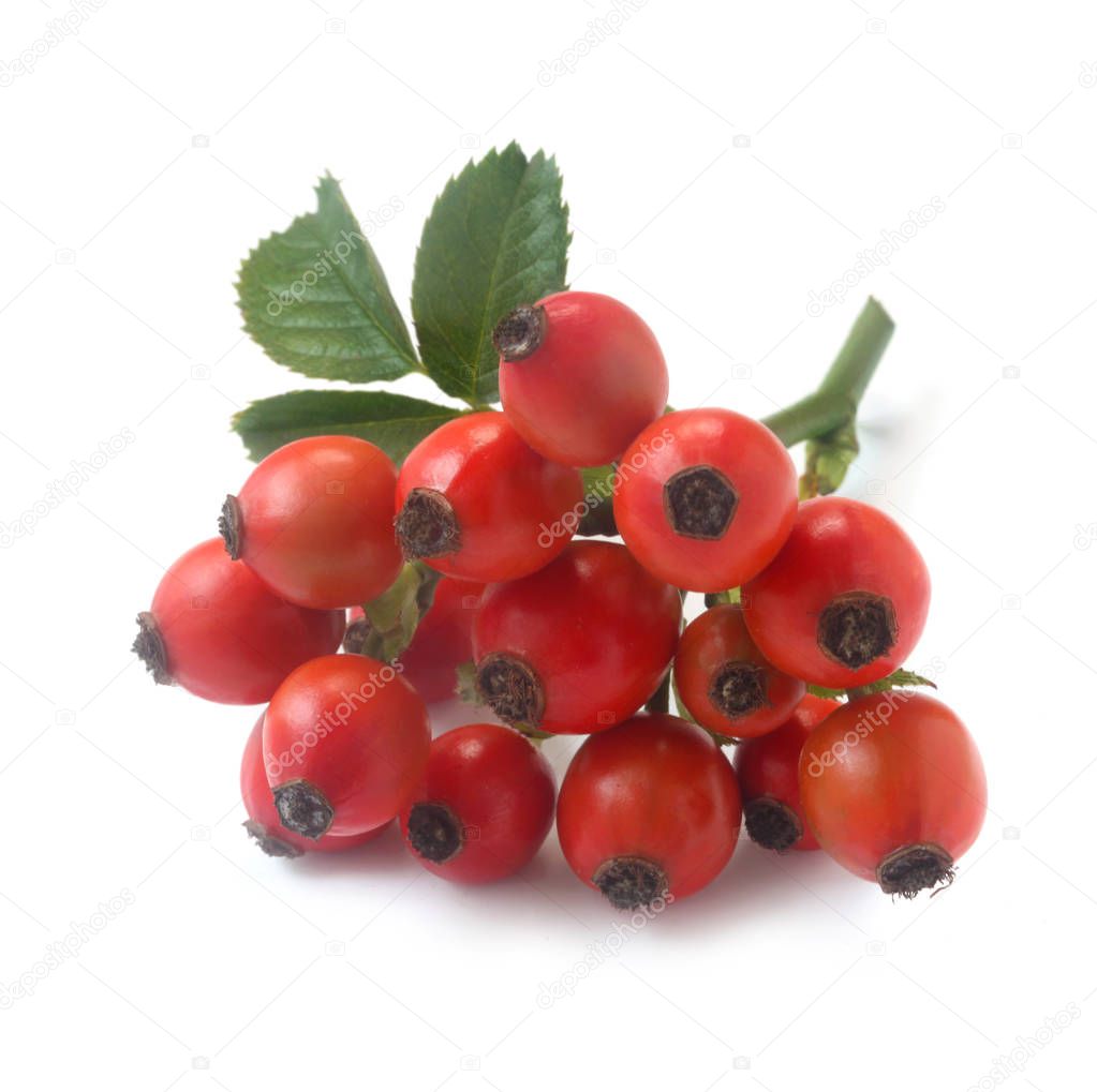 Rosehip