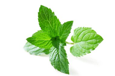 Mint Leaves 'in yakın plan görüntüsü beyazda izole edilmiş.