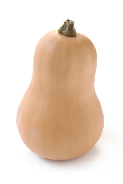 Nahaufnahme Von Butternut Kürbis Isoliert Auf Weiß — Stockfoto