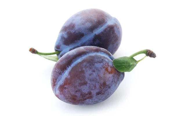 Two Plums Isoled White — стокове фото