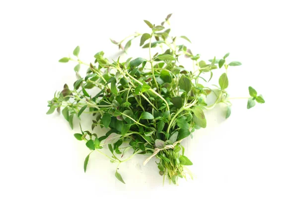 Κοντινό Πλάνο Του Bunch Thyme Isolated White — Φωτογραφία Αρχείου