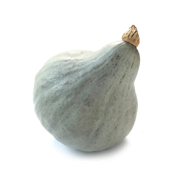 Azul Hubbard Squash Isolado Branco — Fotografia de Stock