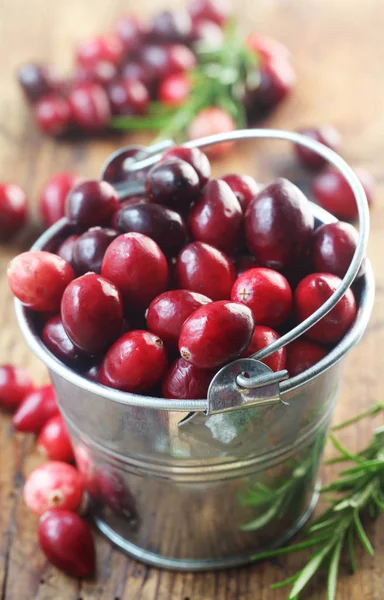 Close Cranberries Pequeno Balde — Fotografia de Stock