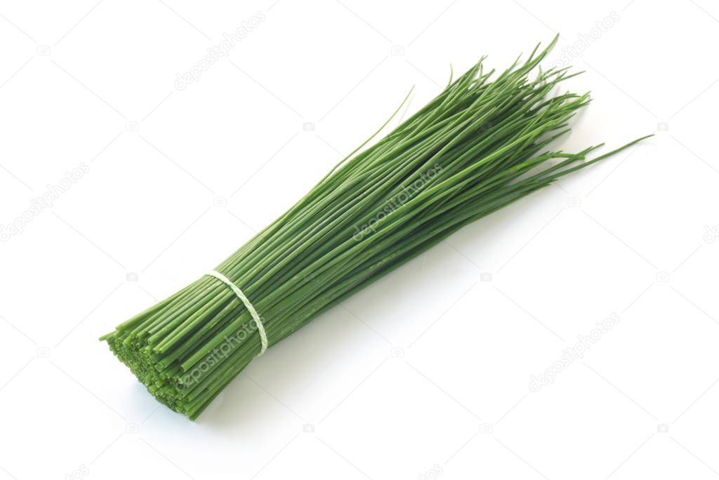 close-up shot of Fresh Chives Isolated On White