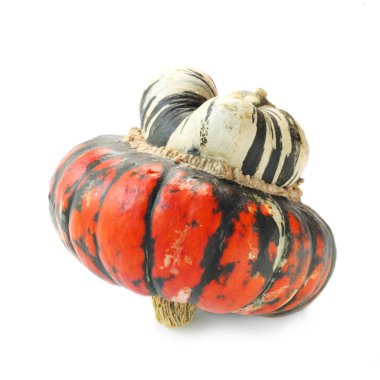 Türban kabağının yakın çekim görüntüsü beyaza izole edildi