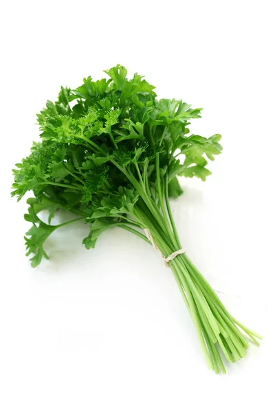 Κοντινό Πλάνο Του Bunch Parsley Isolated White — Φωτογραφία Αρχείου