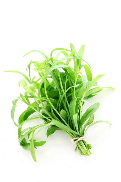 Κοντινό Πλάνο Του Bunch Tarragon Isolated White — Φωτογραφία Αρχείου