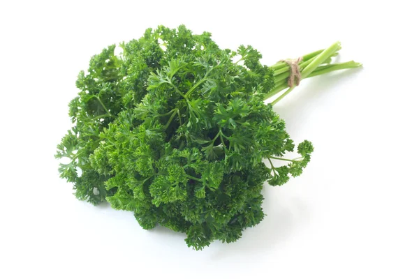 Κοντινό Πλάνο Του Bunch Parsley Isolated White — Φωτογραφία Αρχείου