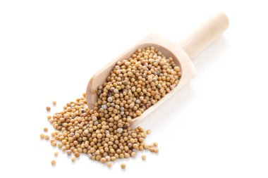 Beyaz arka planda hardallı yakın çekim.