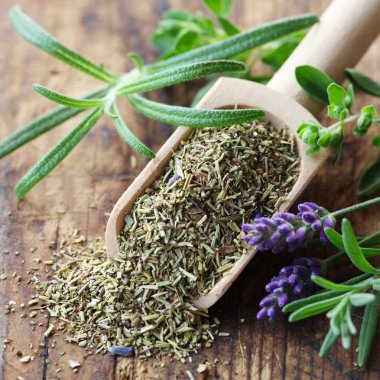 Tahta kutuda taze bitkilerin yakın plan çekimi.