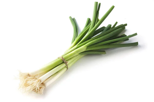 Cebolla Verde Aislada Sobre Fondo Blanco — Foto de Stock