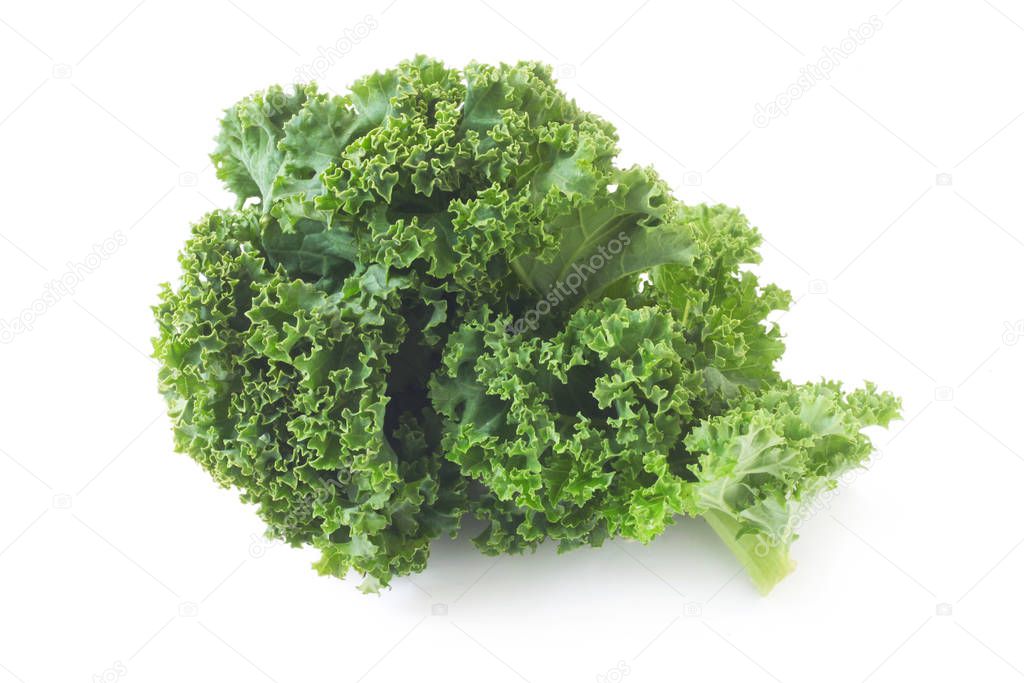 freshly harvested kale cabbage stems on a white background 