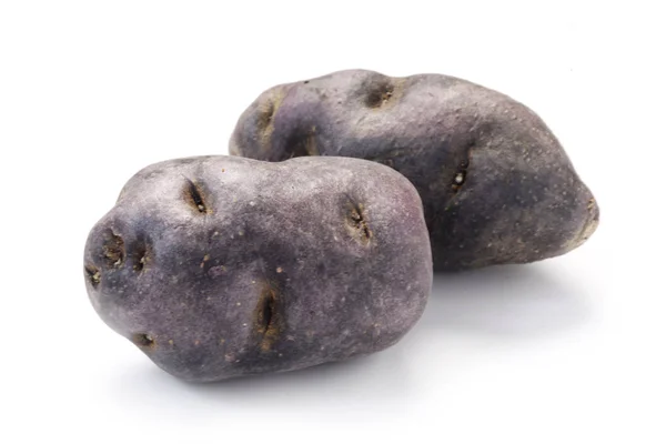 Vitelotte Kartoffeln Isoliert Auf Weiß — Stockfoto