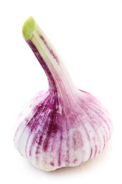 Eine Knolle Frischen Knoblauch Isoliert Auf Weiß — Stockfoto