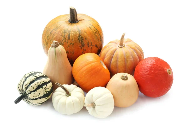 Varieties Pumpkin Isolated White — ストック写真