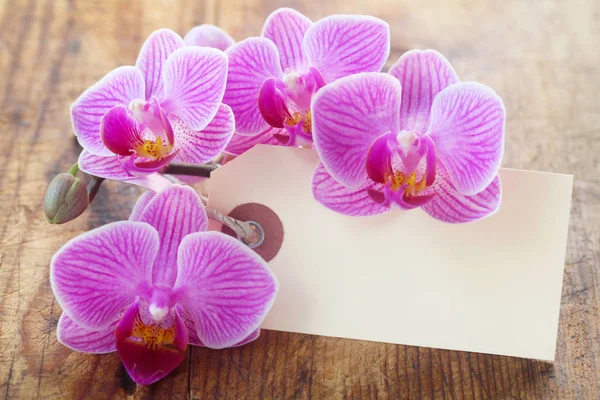 Etichetta Bianco Con Orchidee Rosa Sfondo Legno Immagini Stock Royalty Free