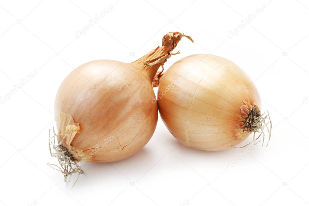 close-up shot of Two Onions Isolated On White