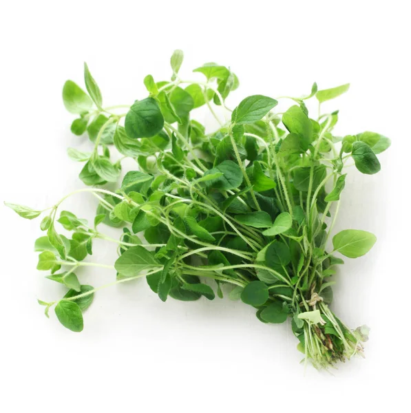 Close Van Bunch Oregano Isolated White — Stockfoto