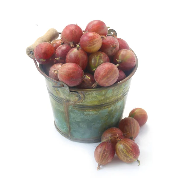 Close Shot Ripe Gooseberries Bucket White Background — Stock Photo, Image