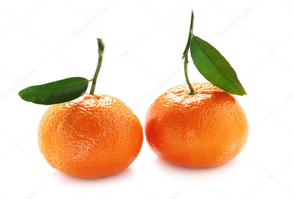 close-up shot of Two Tangerines Isolated On White