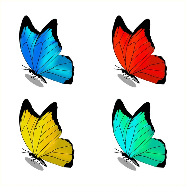 Rote Blaue Grüne Und Gelbe Schmetterlinge Auf Weißem Hintergrund Illustration — Stockvektor