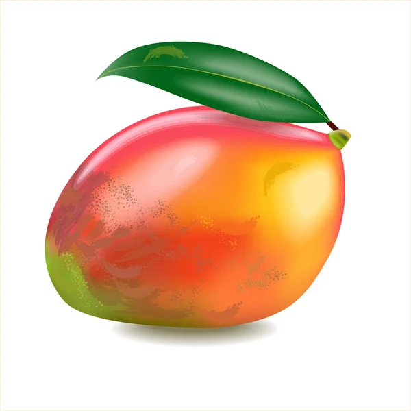 Beyaz Arka Planda Yaprağı Olan Olgun Mango Meyveleri Gerçekçi Çizim — Stok fotoğraf