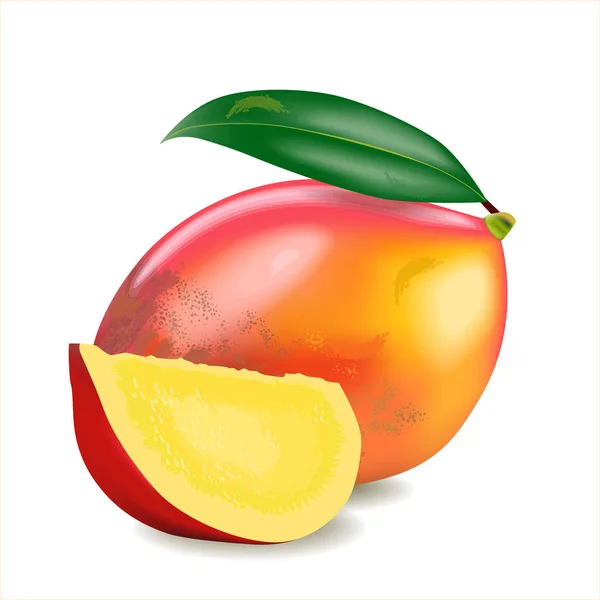 Beyaz arka planda yaprağı olan olgun mango meyveleri. Bir bütün kırmızı mango meyvesi ve bir parça. Gerçekçi çizim.