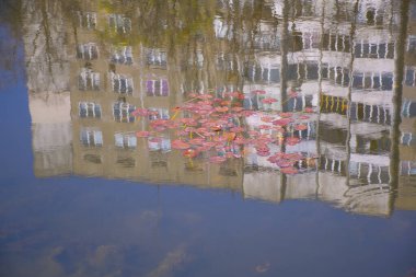 Kırmızı nilüferlerle dolu bir gölette çok katlı bir binanın yansıması.