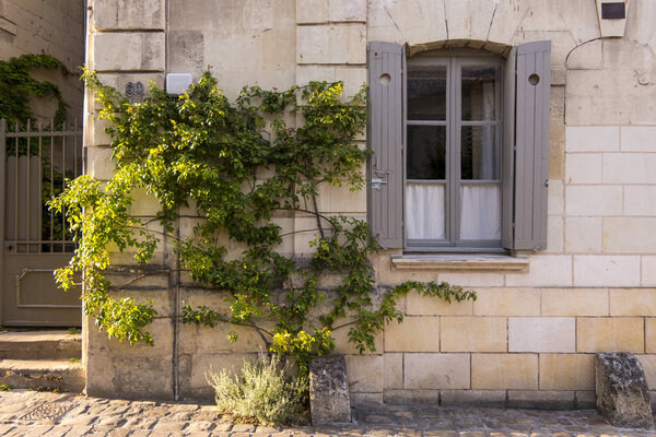 Шато-де-Шинон, расположенный в долине Луары (Франция), является объектом Всемирного наследия ЮНЕСКО
.