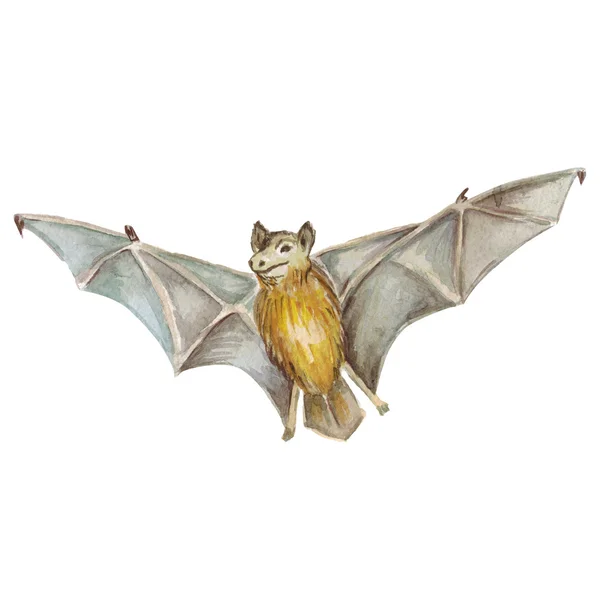 Halloween bat Imagen dibujada a mano — Foto de Stock