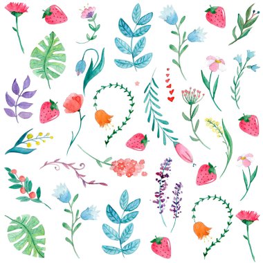 Çiçekler, tropikal bitkiler ve yaprak suluboya desenle