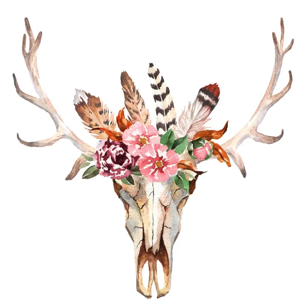 Boho aquarela imagem chique Flores, penas, elementos animais — Fotografia de Stock