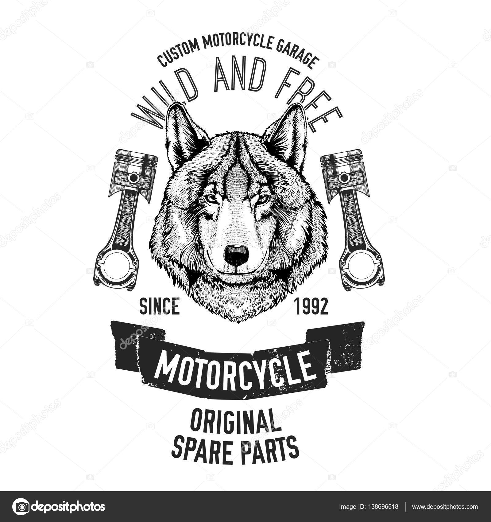 Wild Wolf Vector Image For Motorcycle T Shirt Tattoo Club Wild Wolf Vector Image For Motorcycle T Shirt Tattoo Club