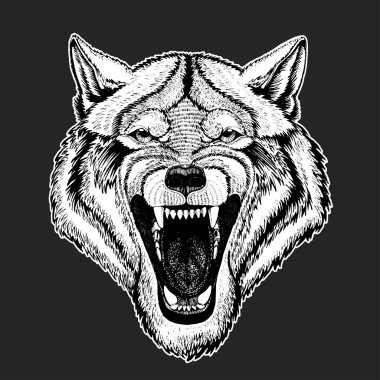 Vektör vahşi kurt dövme, tişört, spor logo