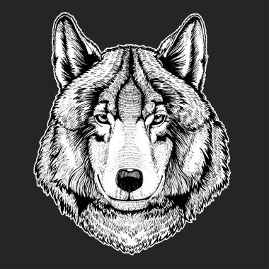 Vektör vahşi kurt dövme, tişört, spor logo