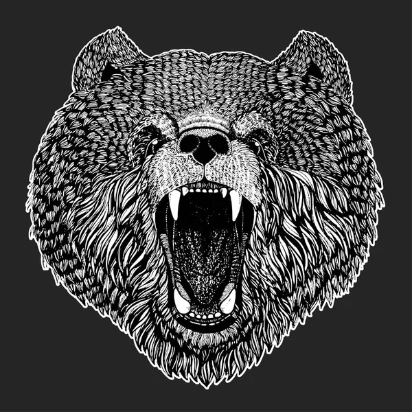 Άγρια αρκούδα διανυσματική εικόνα για τατουάζ, t-shirt, αφίσες χέρι εικονογράφηση — Διανυσματικό Αρχείο