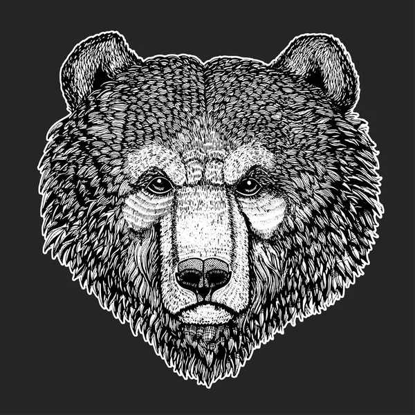 Oso salvaje Vector imagen para tatuaje, camiseta, carteles Ilustración dibujada a mano — Vector de stock