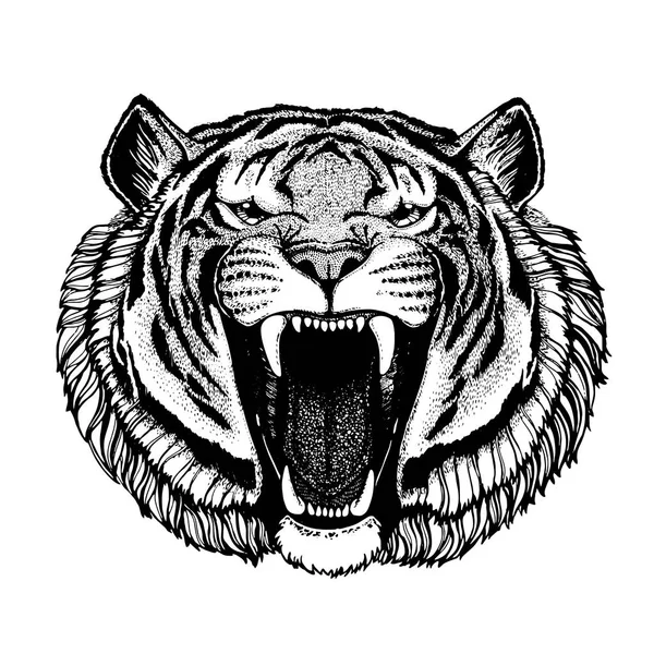 Векторный тигр для татуировки, спортивный логотип, футболка, плакат — стоковый вектор