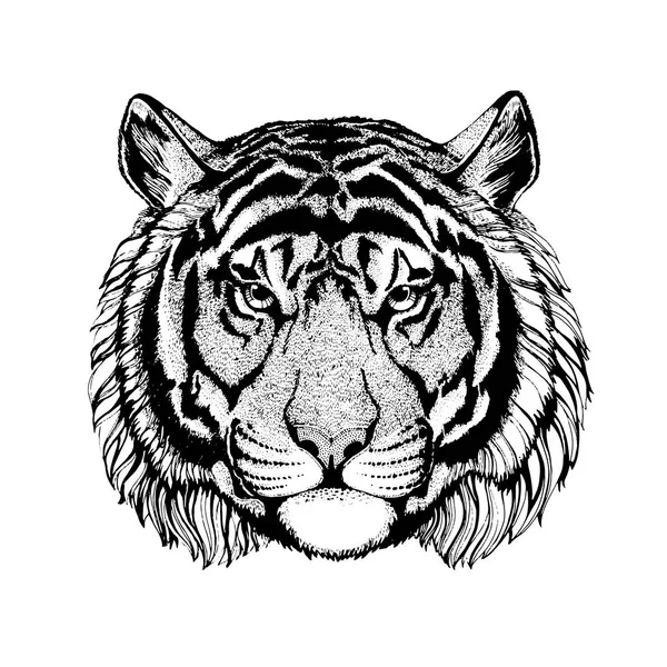 Tigre vectoriel pour tatouage, logo sportif, t-shirt, affiche — Image vectorielle