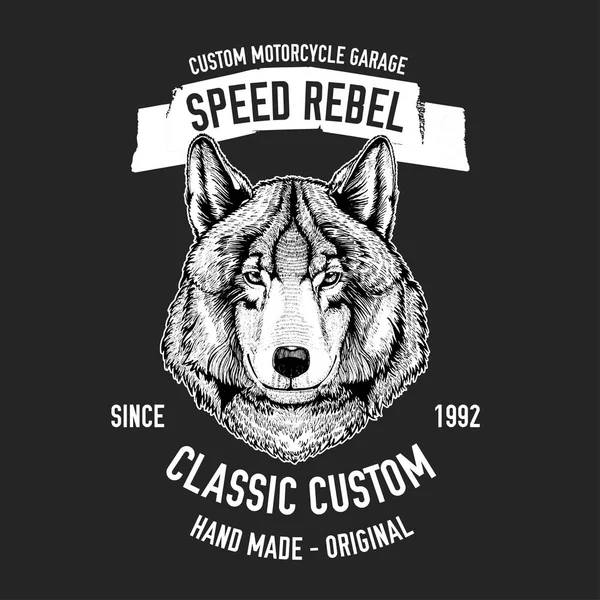 Wild wolf Imagen vectorial para camiseta de motocicleta, tatuaje, club de motocicletas, logotipo de la motocicleta — Vector de stock